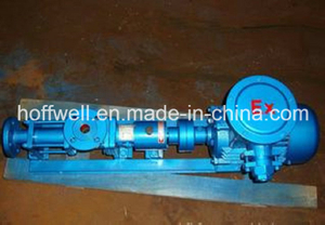 G Cast Iron Helical Rotor Single Screw Pumps