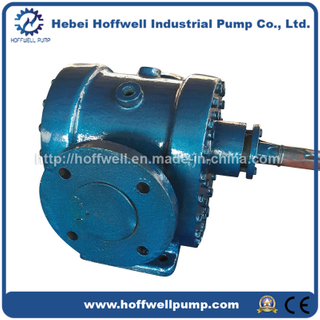 Cast Steel Thermal Oil External Gear Rotary Pump