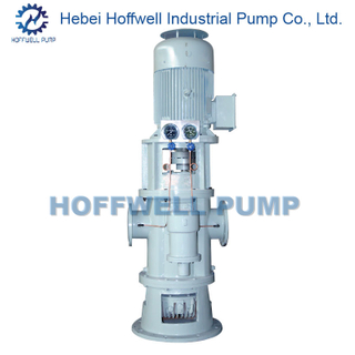 CE Approved 2W. W6.9 Vertical Twin Screw Pump