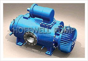 CE Approved 2W. W Multi-Phase Twin Screw Pump
