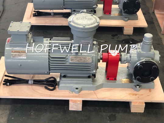 Cast Iron Lube Oil YCB External Gear Pump